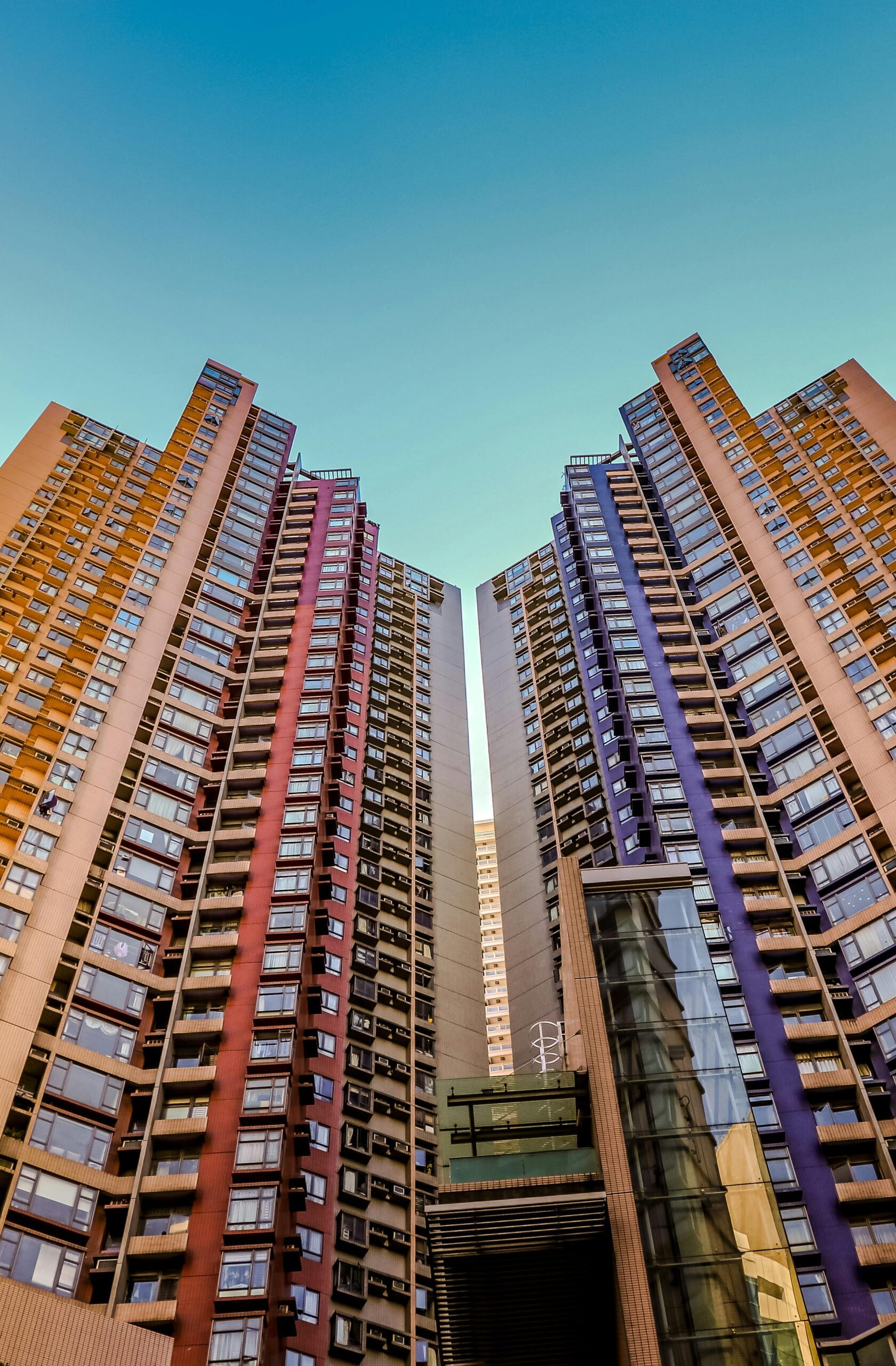 pexels-nextvoyage-1481105